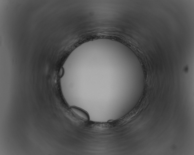 X0000091700567200708240937