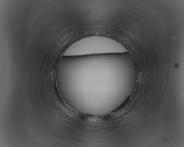 X0000091700568200708240937