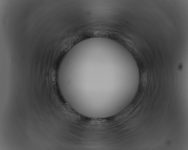X0000091700571200708240937