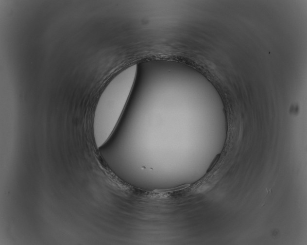 X0000091700576200708240937