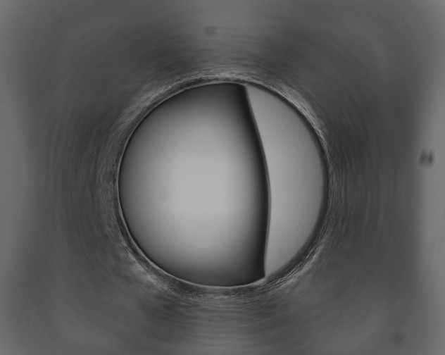 X0000091700577200708240936