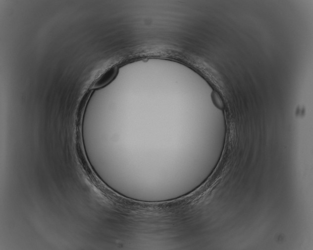 X0000091700578200708240936