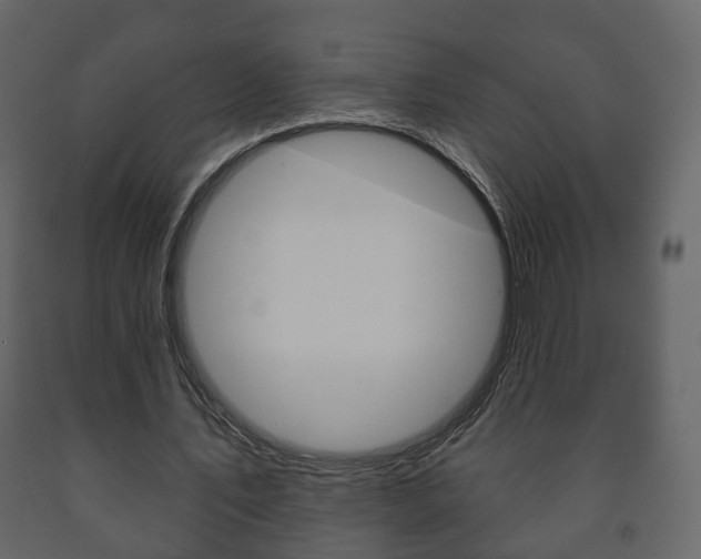 X0000091700579200708240936