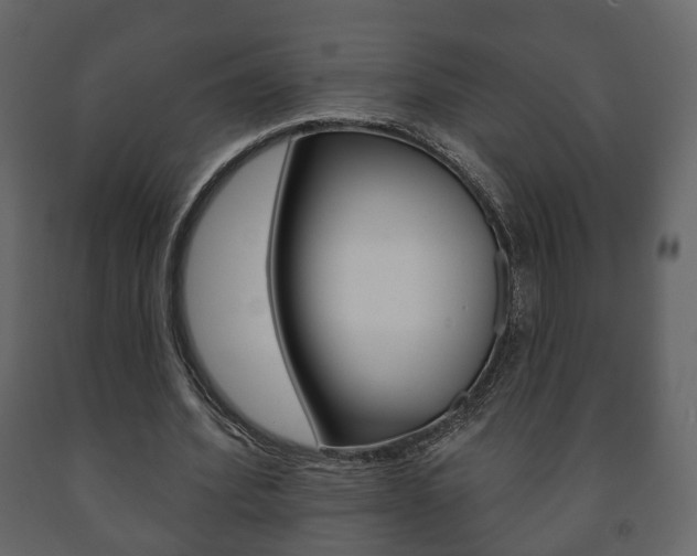 X0000091700580200708240936