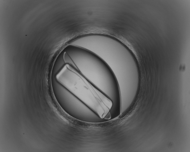X0000091700581200708240936