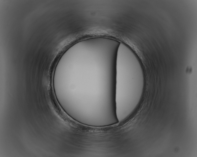 X0000091700582200708240936