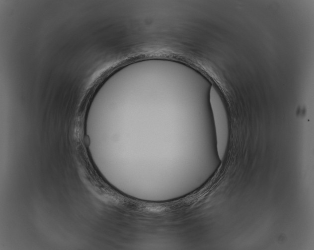 X0000091700583200708240936