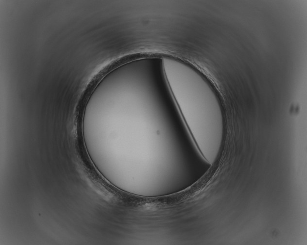 X0000091700584200708240936