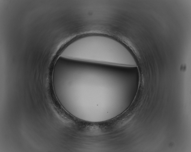 X0000091700588200708240936