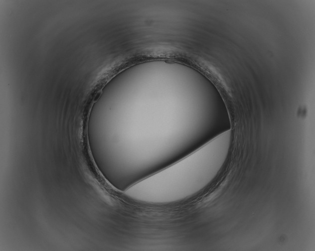 X0000091700589200708240936