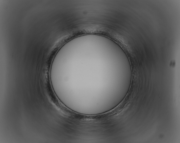 X0000091700590200708240936