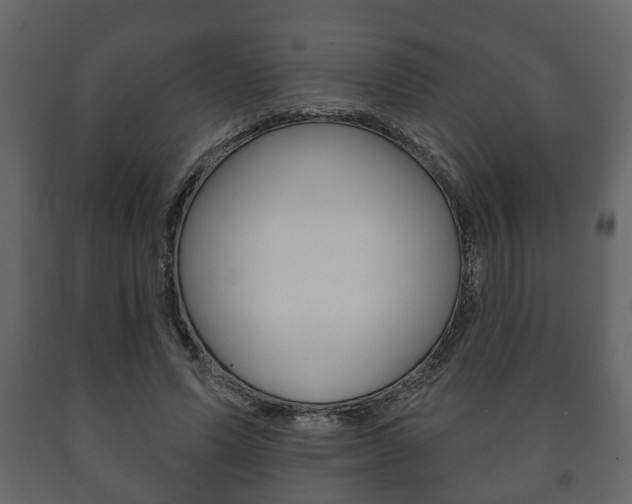 X0000091700591200708240936