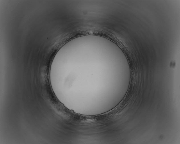X0000091700594200708240936