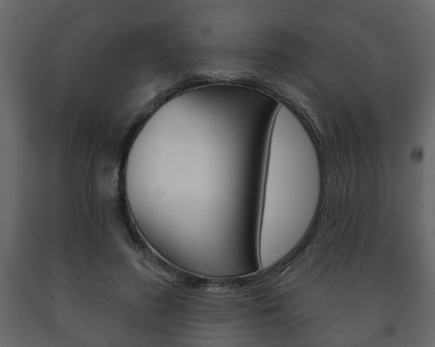 X0000091700596200708240936