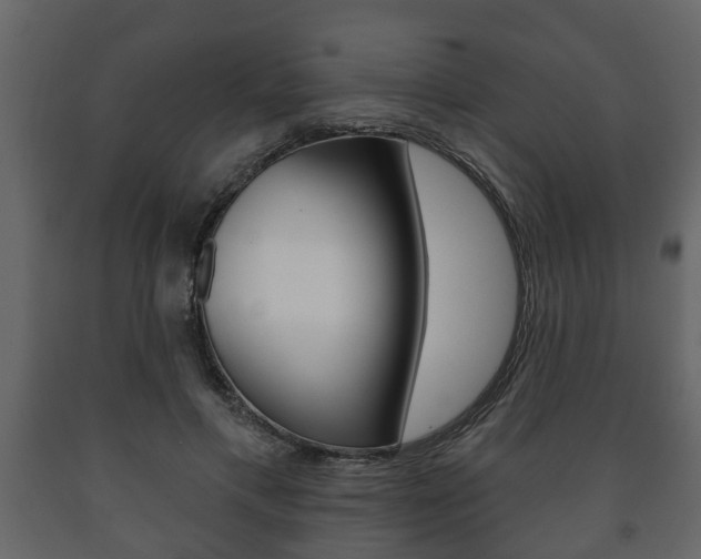 X0000091700597200708240936