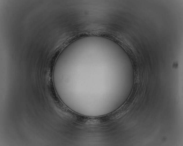 X0000091700599200708240936