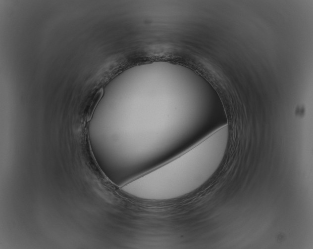 X0000091700601200708240936
