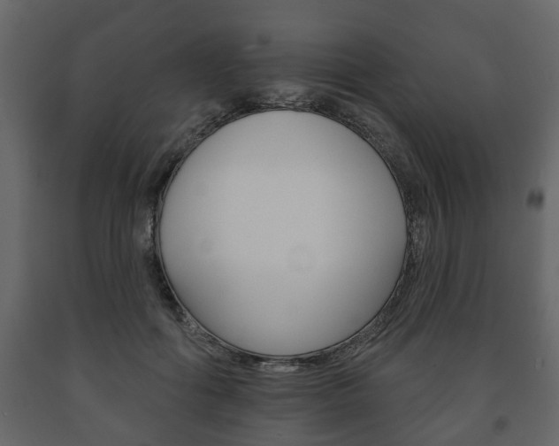 X0000091700602200708240936
