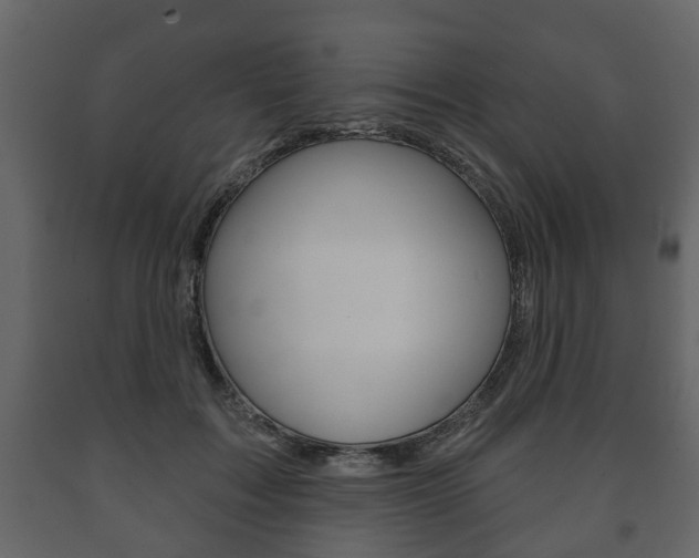 X0000091700603200708240936