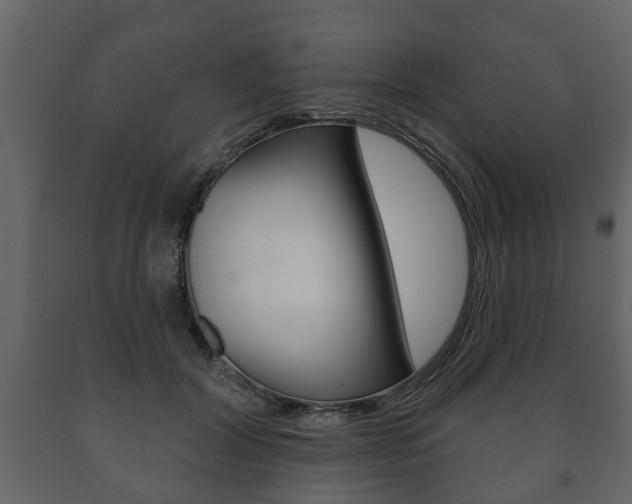 X0000091700604200708240936
