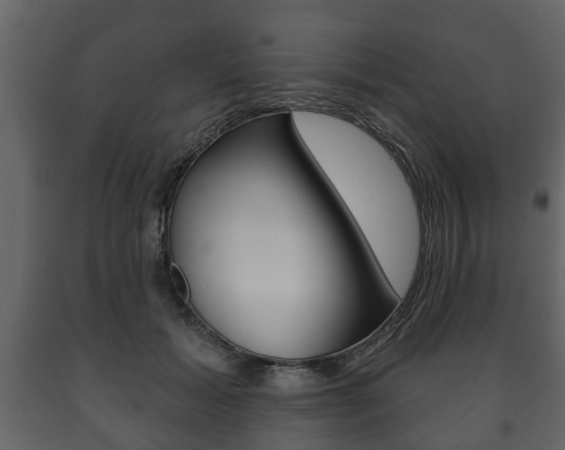X0000091700605200708240936