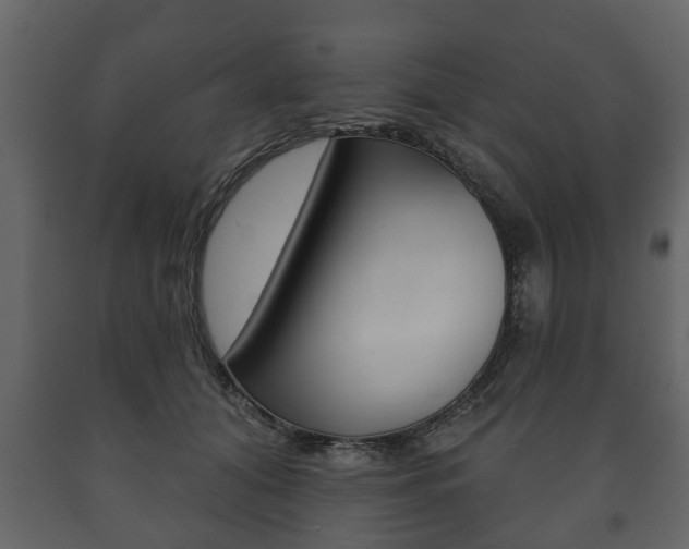 X0000091700608200708240936