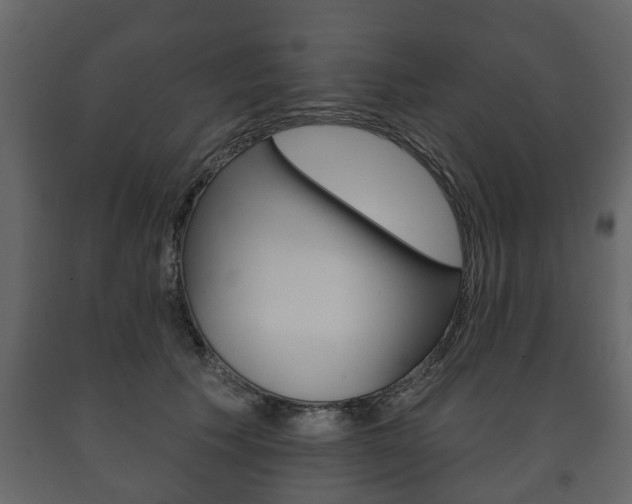 X0000091700609200708240936
