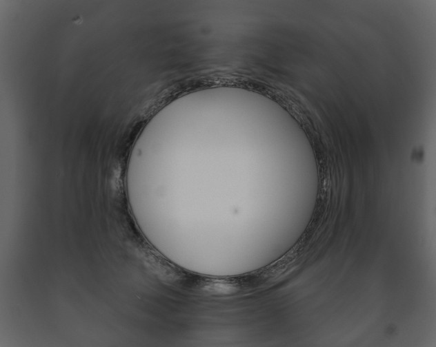 X0000091700610200708240935