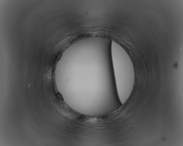 X0000091700611200708240935