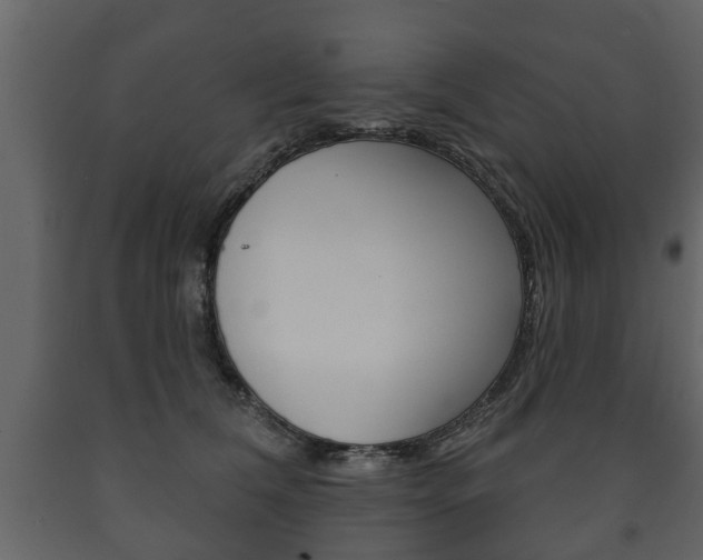 X0000091700612200708240935