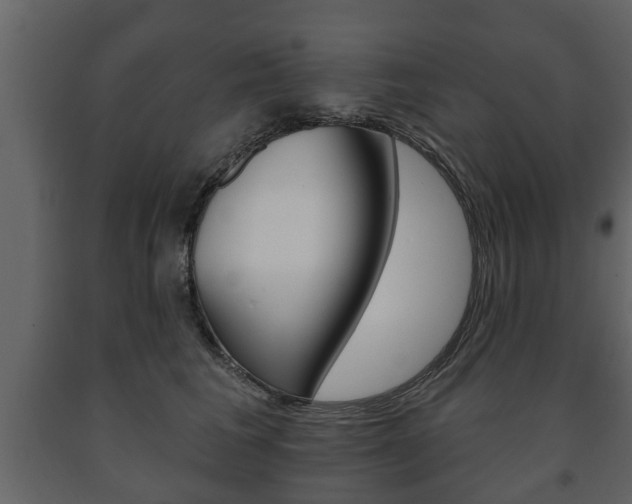 X0000091700613200708240935