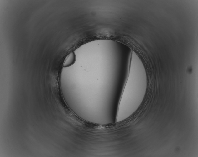 X0000091700616200708240935