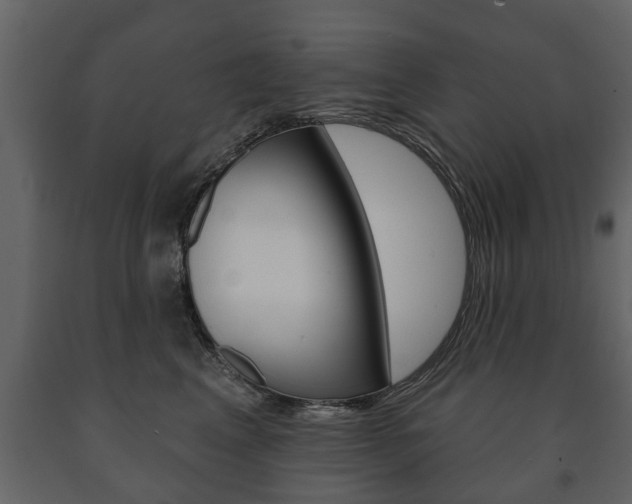X0000091700617200708240935