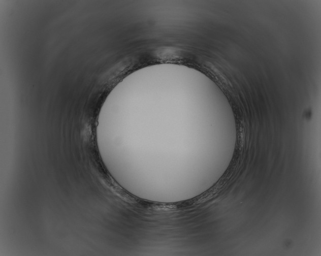 X0000091700618200708240935