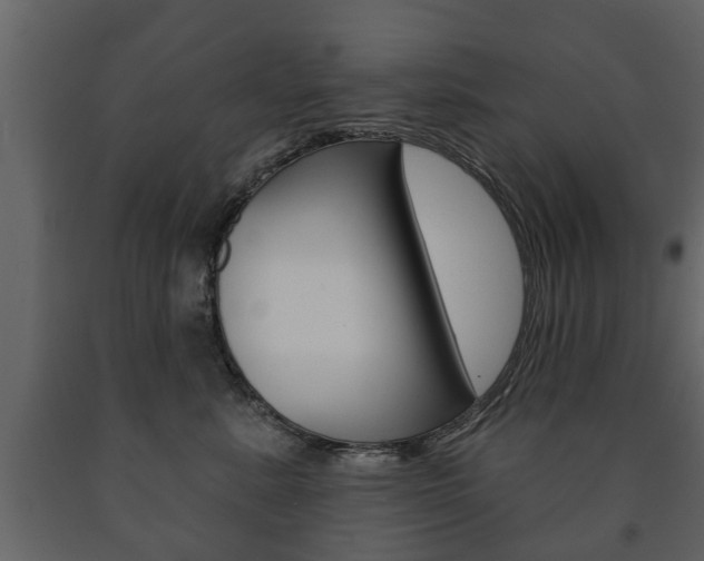 X0000091700619200708240935