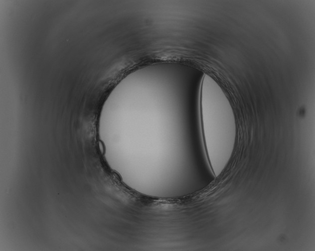 X0000091700620200708240935