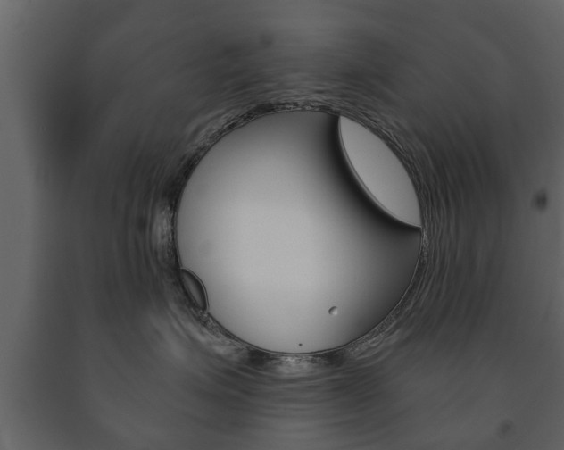 X0000091700623200708240935