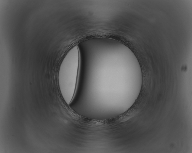 X0000091700624200708240935