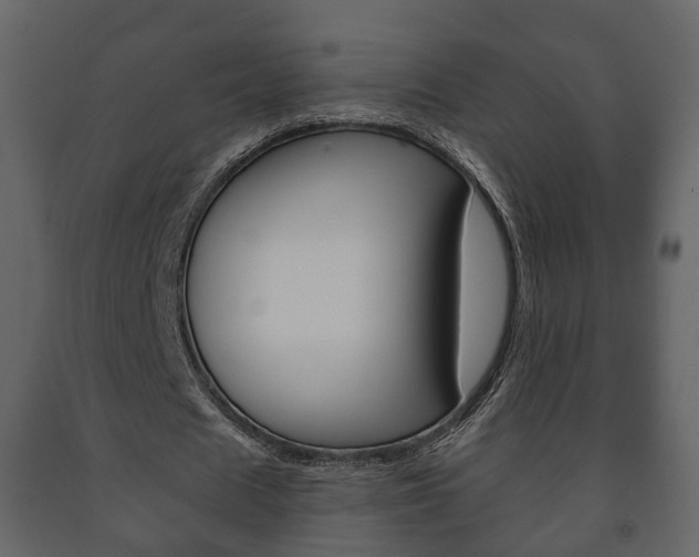 X0000091700625200708240934