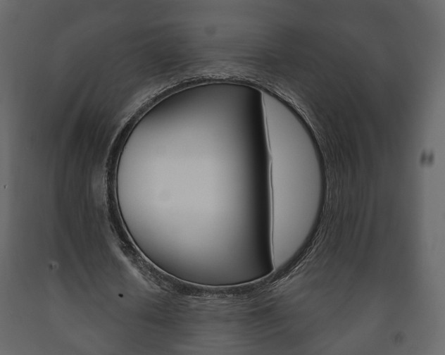 X0000091700626200708240934