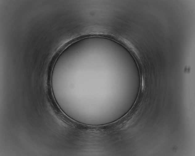 X0000091700627200708240934