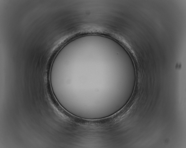 X0000091700629200708240935