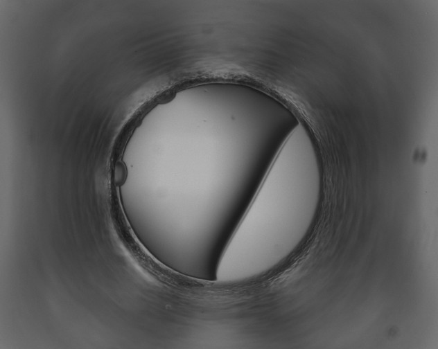 X0000091700630200708240935