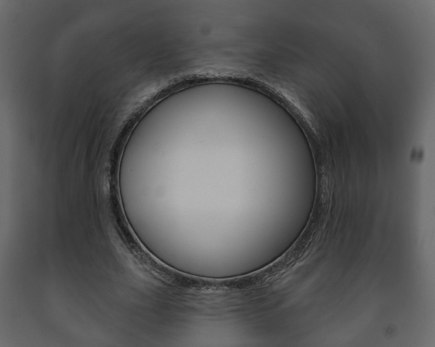 X0000091700631200708240935