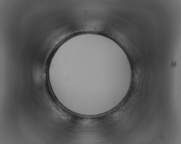 X0000091700632200708240935