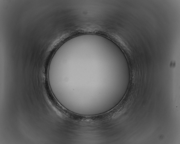 X0000091700634200708240935