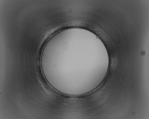 X0000091700636200708240935