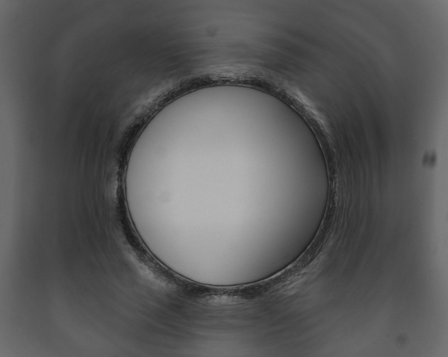 X0000091700637200708240935