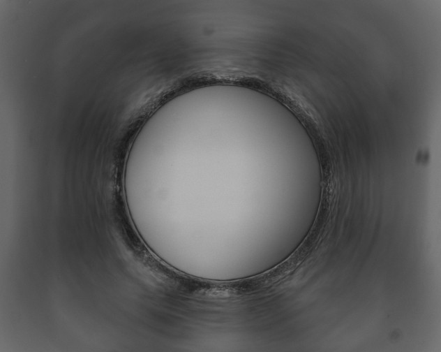 X0000091700639200708240935