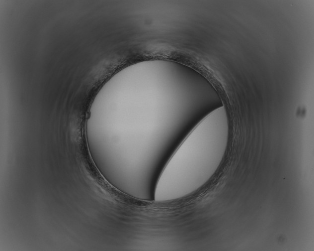 X0000091700641200708240935